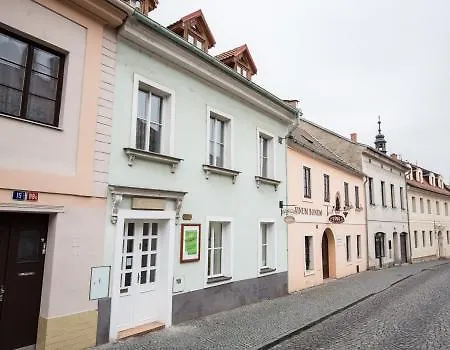 Veget * Litoměřice