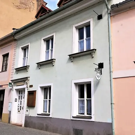Veget * Litoměřice